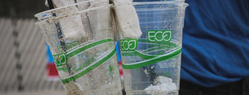 'Greenwashing', el lavado de cara de las grandes marcas