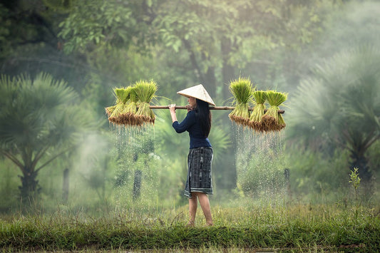 LA MUJER INVENTÓ LA AGRICULTURA