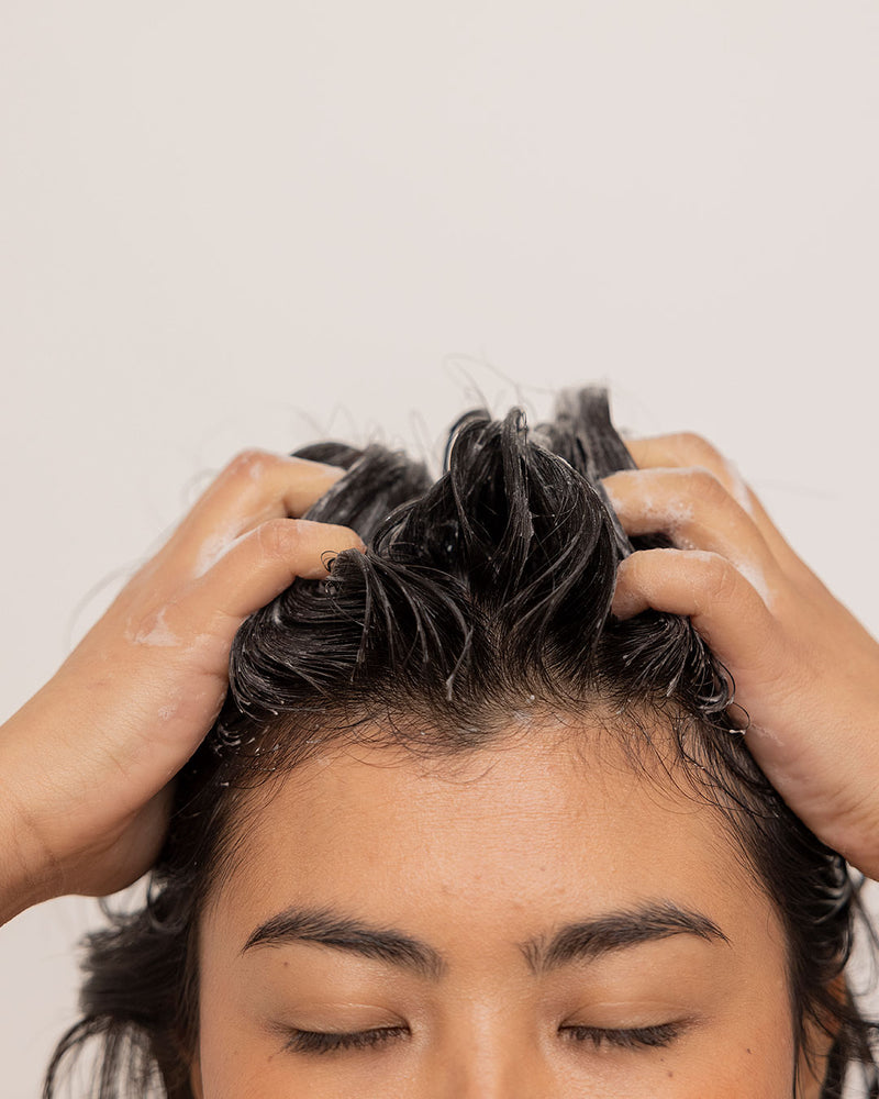 Refil Shampoo para cabelos normais