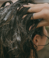 Shampoo for dry or frizzy hair