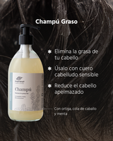 Refil Shampoo para cabelos oleosos